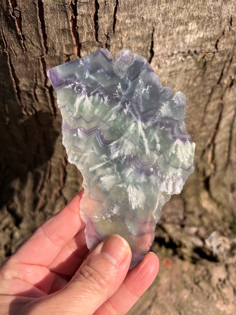 Feather (2) fluorite slab with stand | crystal